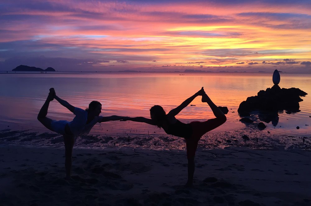 Yogi Life