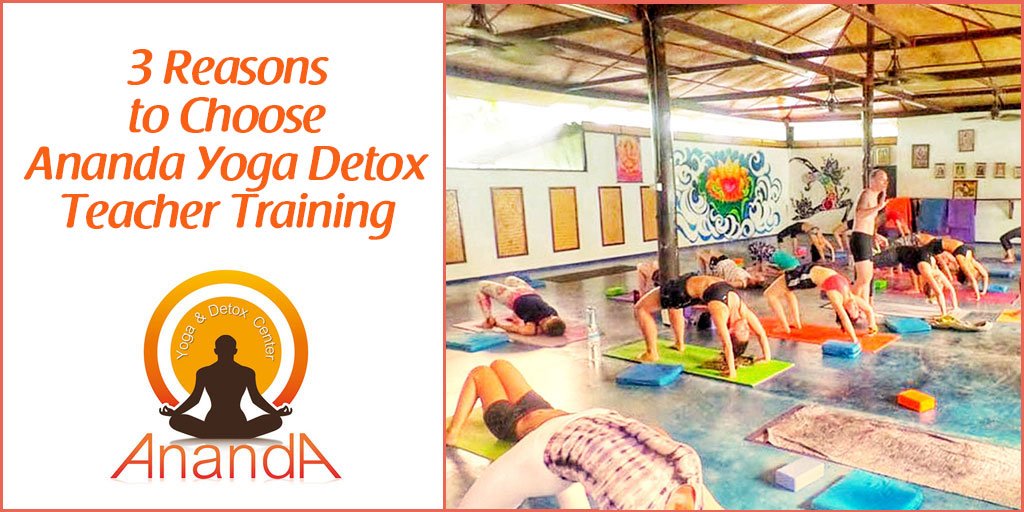Ananda yoga detox teacher training2