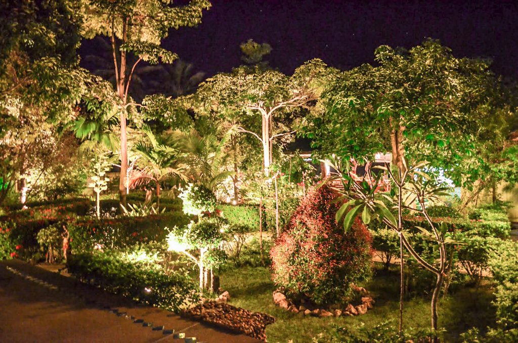 Nightview of our gardens