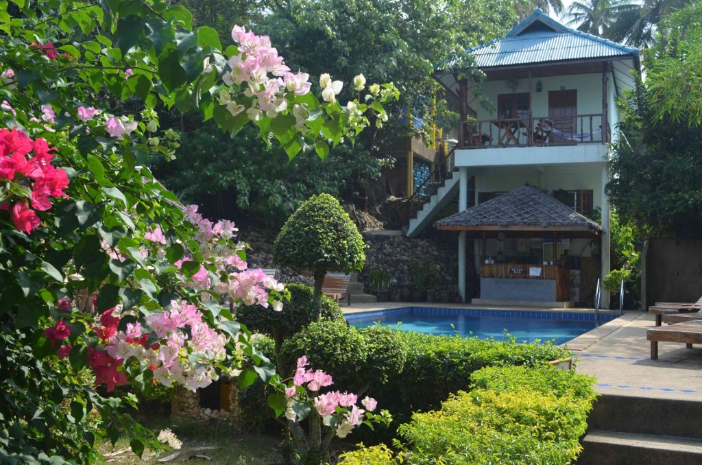 Pool and flowers