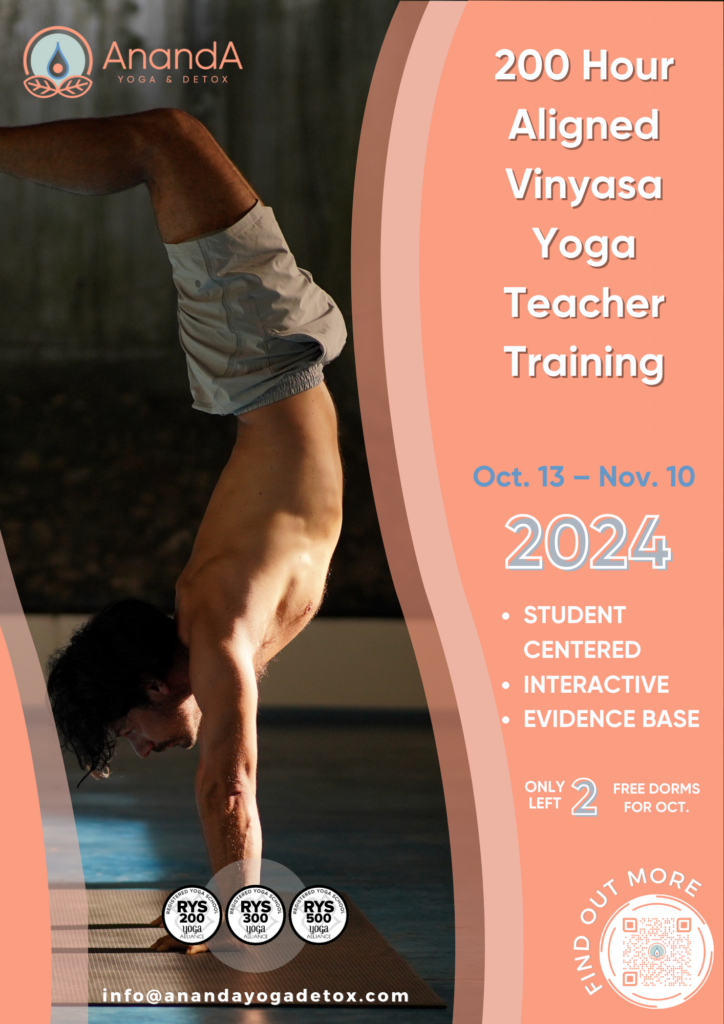 200 Hour Aligned Vinyasa Yoga Teacher Training