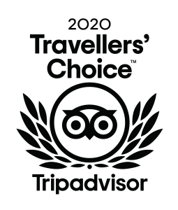 2020 Travellers Choice logo