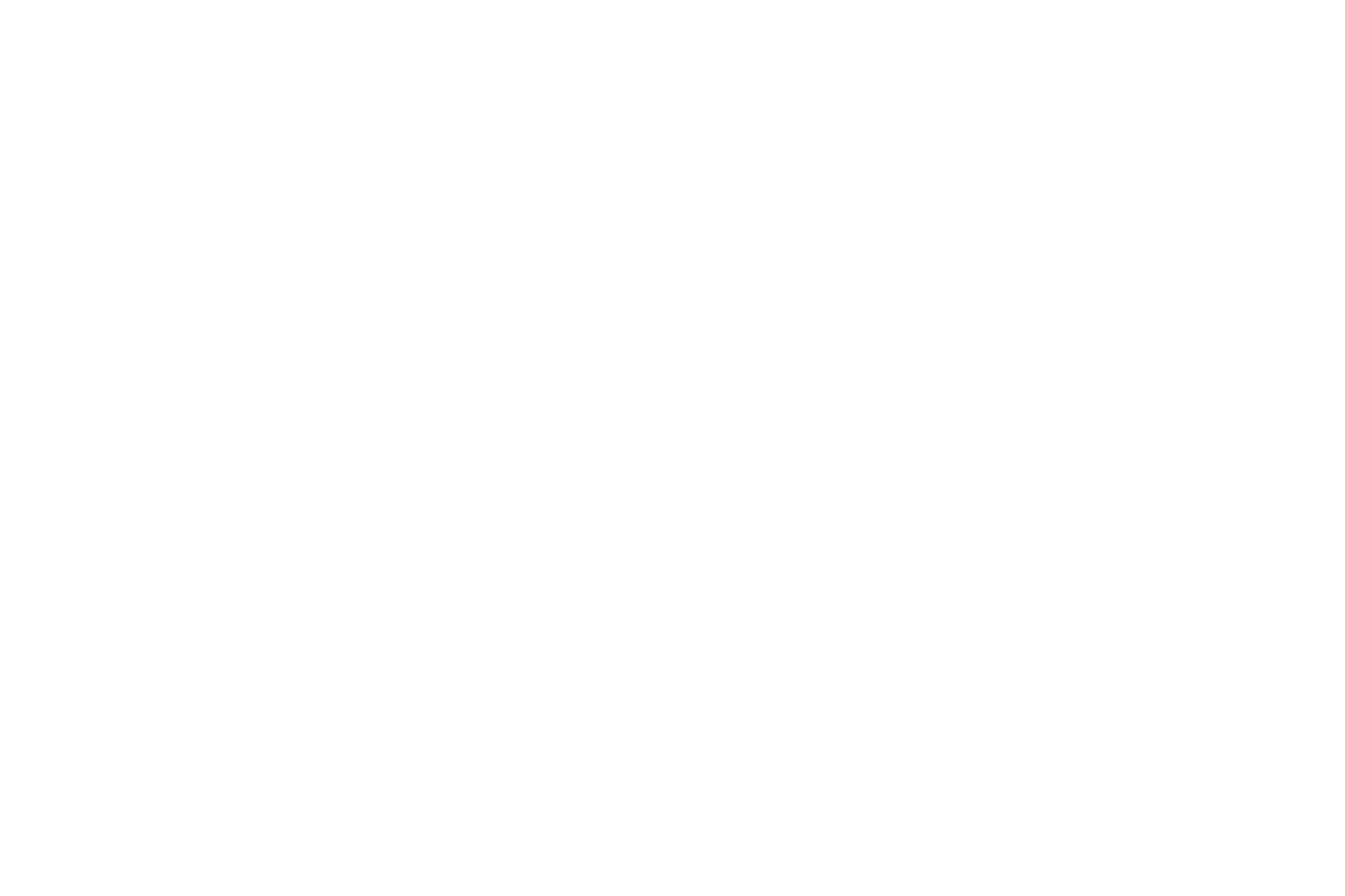 booking stripe