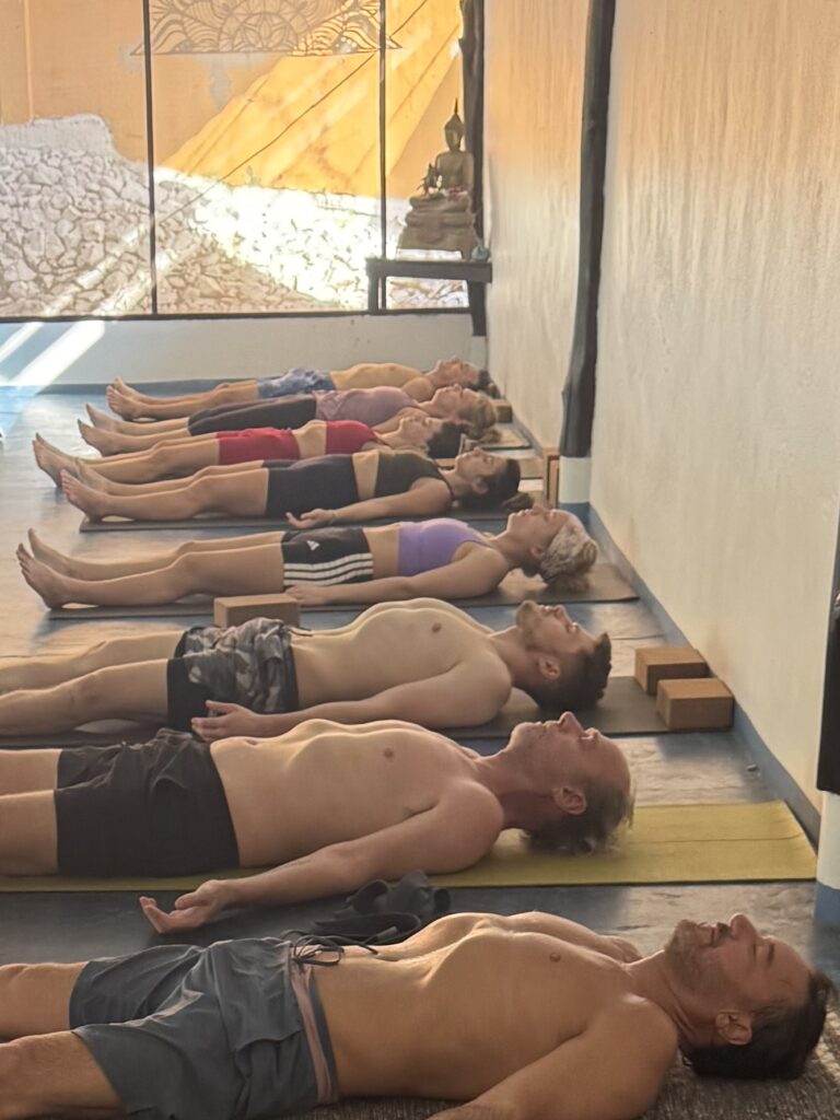 300 advanced yoga teacher training