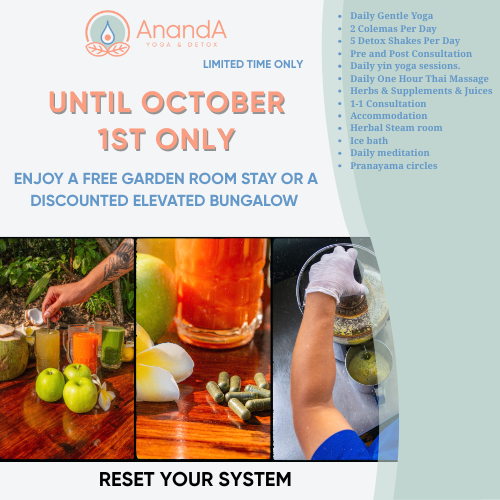 Detox Summer 1oct Discount