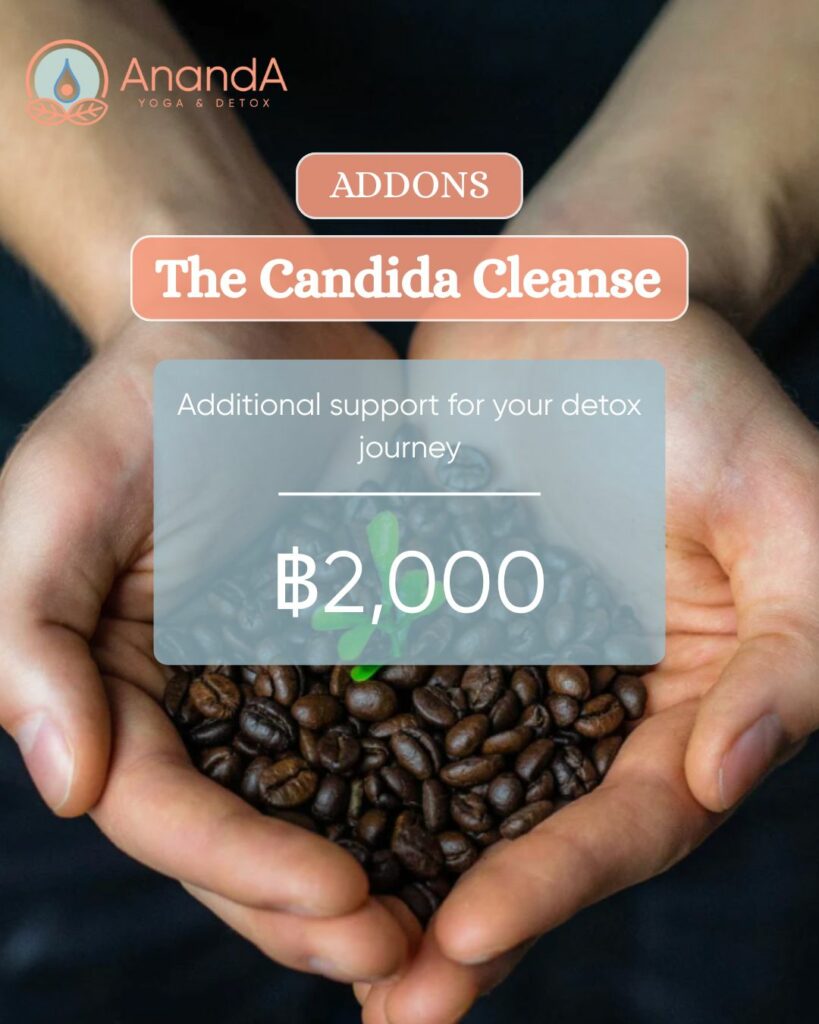 The Candida Cleanse
