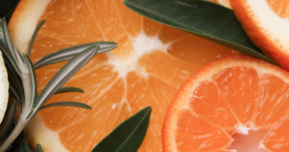 A Yogic Guide to the Festive Season 2 Zoho Newsletters 7 1