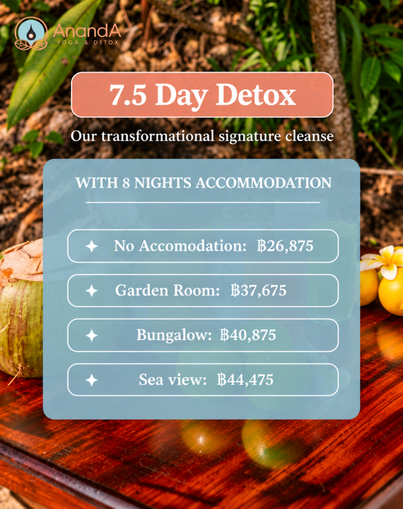 AnandA Tropical Detox Retreat Pricing Flyer