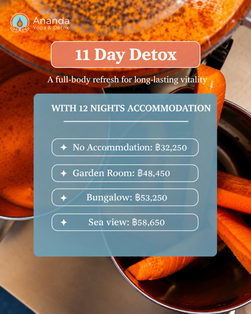 Ananda 11 Day Detox Retreat Flyer